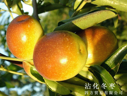 մ�������